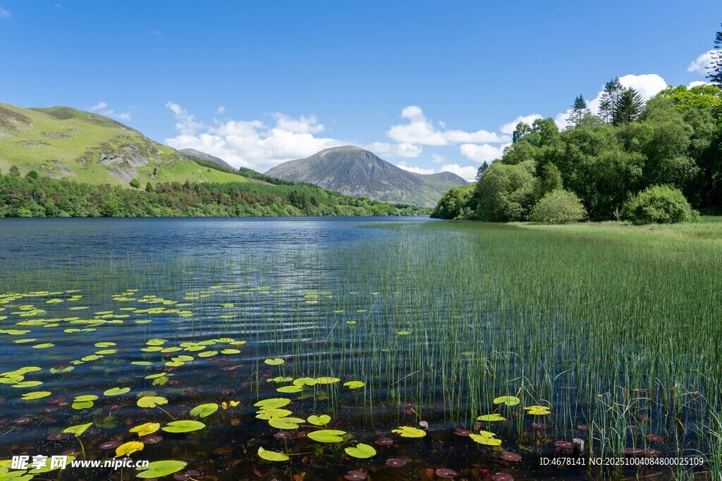 宁静湖畔美景