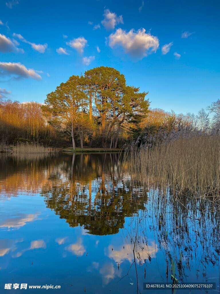 秋日湖畔美景