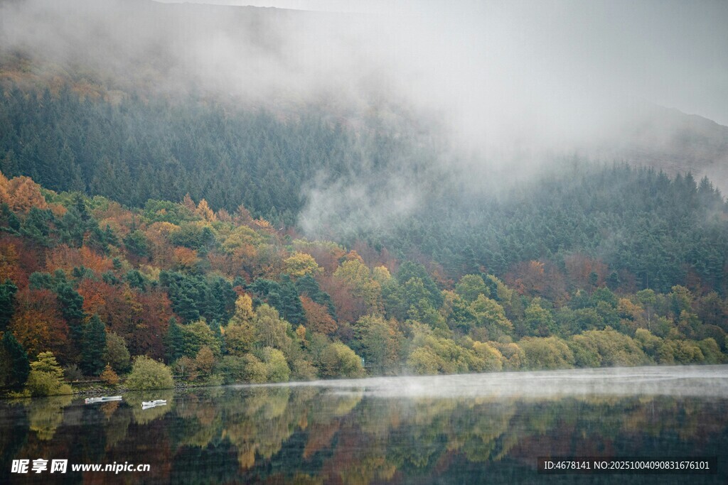雾中湖畔多彩山林美景