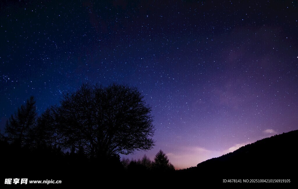 夜幕下的树影与梦幻星空