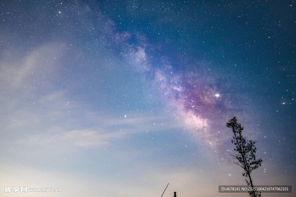 夜空下的孤树与璀璨星河