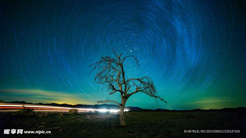 夜空下的孤独枯树