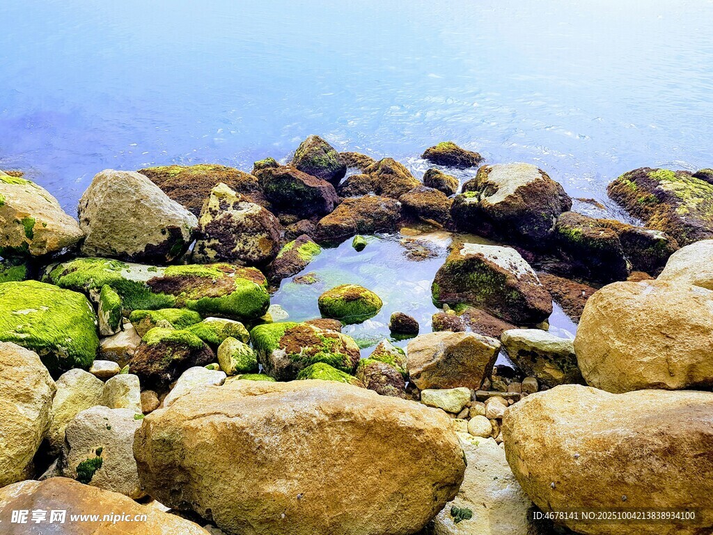海边石滩上的小水洼