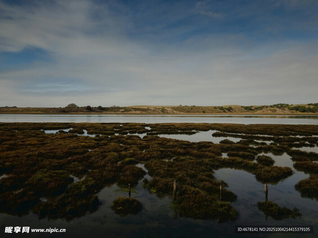 海边湿地景观