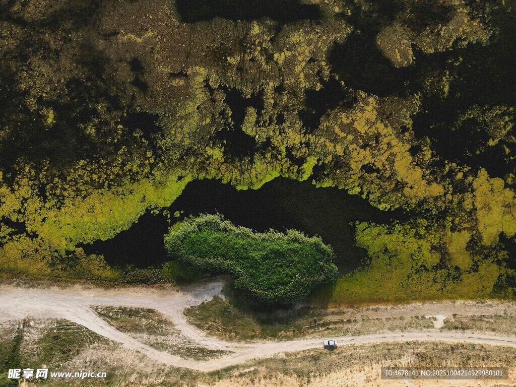 山间苔藓覆盖的清幽景致