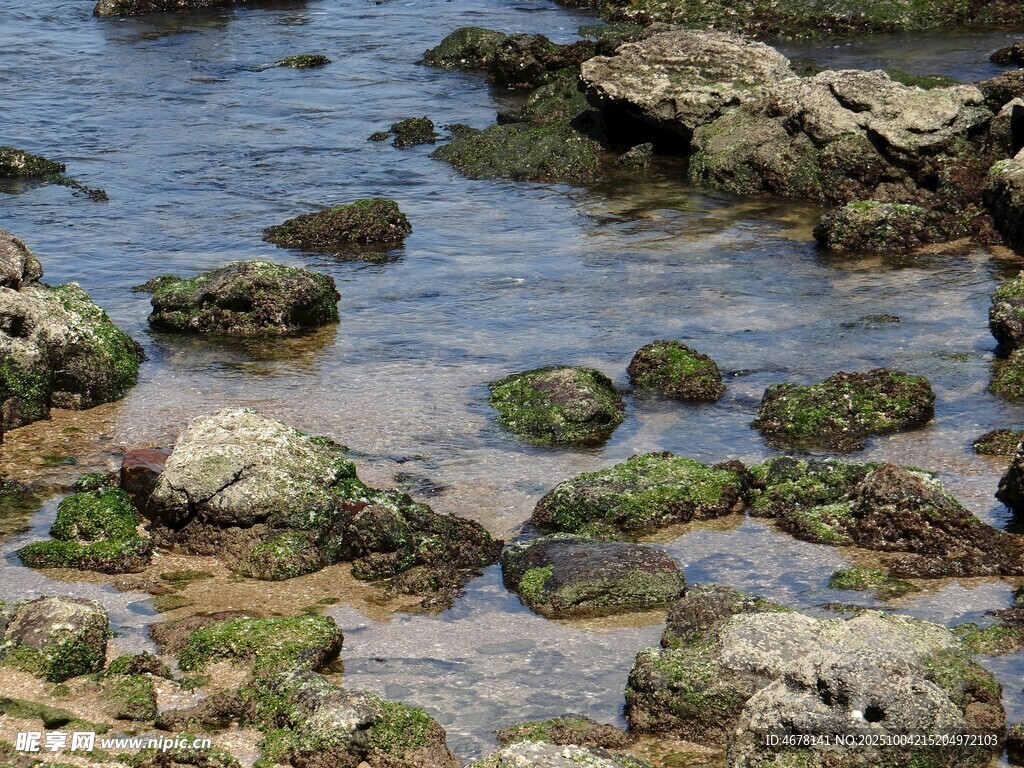 海边礁石与浅滩景观