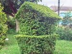 绿植修剪成的独特房屋造型