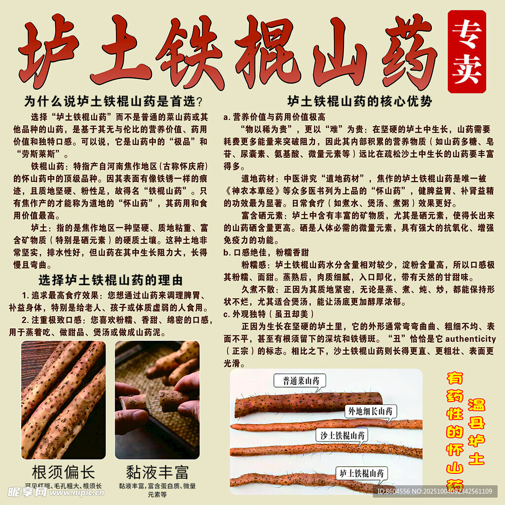 垆土铁棍山药