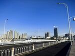 城市桥梁边的高楼天际线