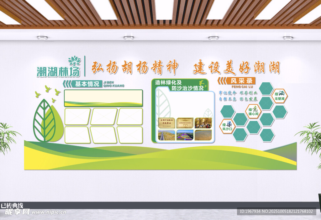 林场林业 绿色文化墙