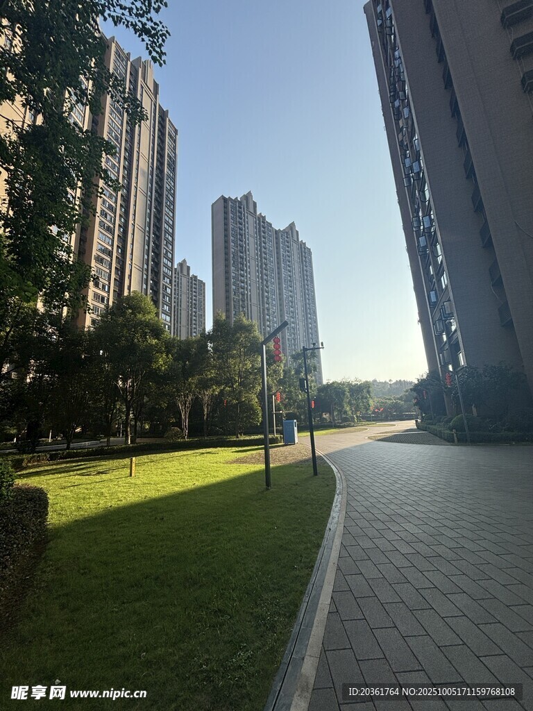 城市中的宁静林荫步道