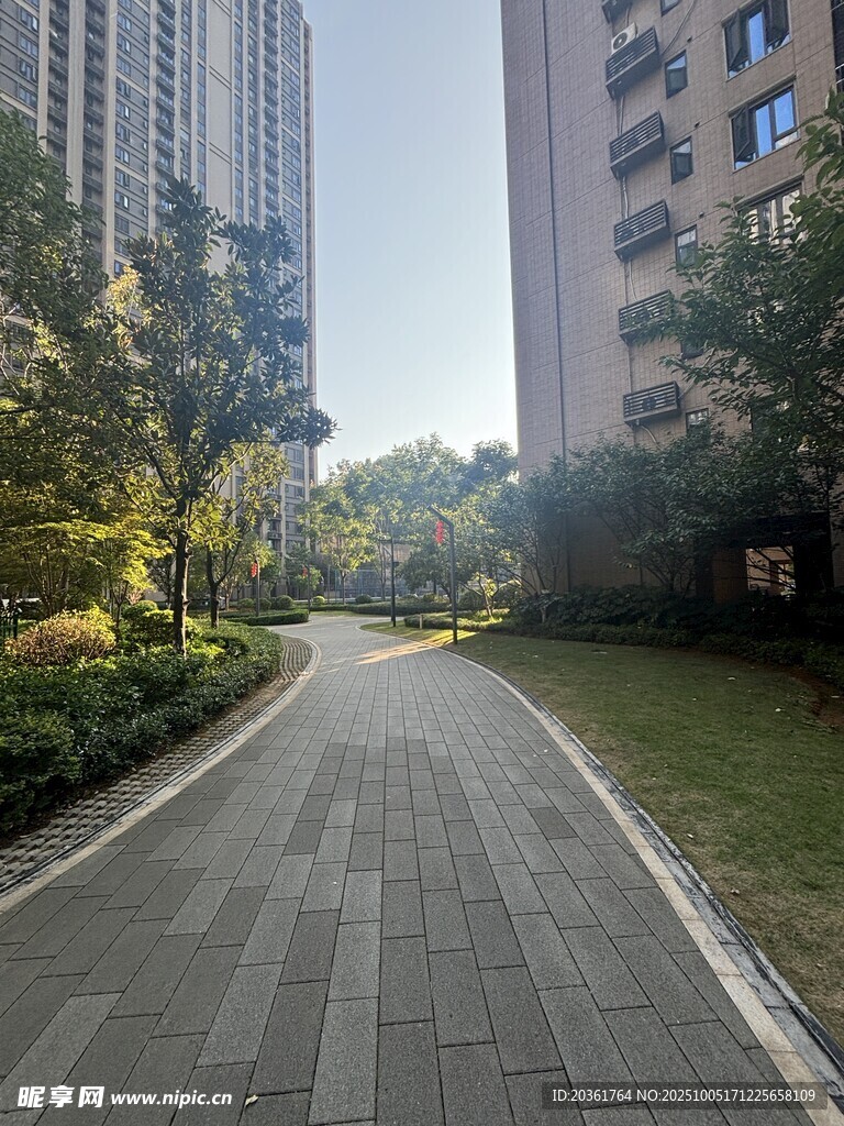 小区内的静谧林荫步道