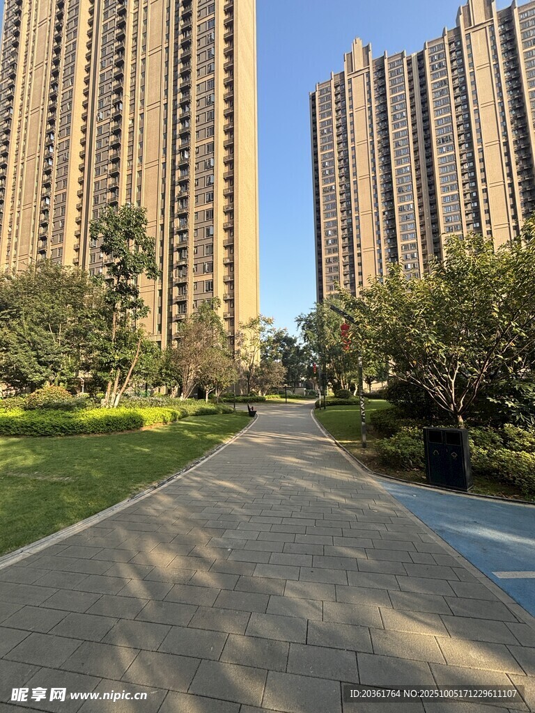 城市住宅区的林荫步道