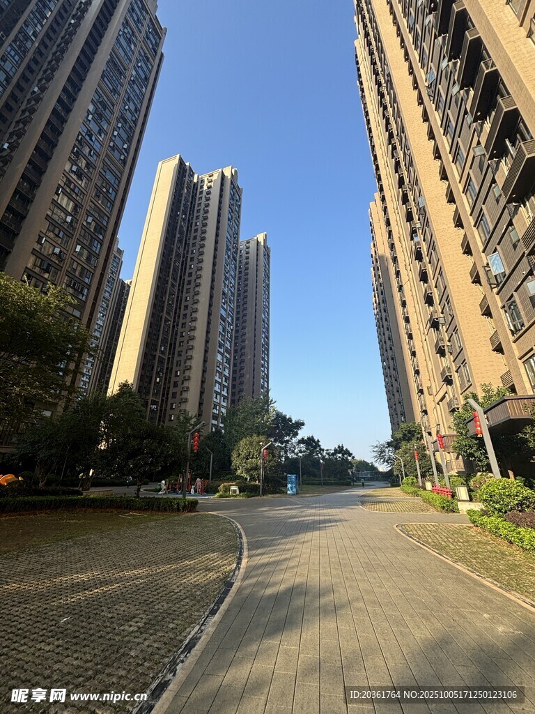 城市高楼间的开阔道路