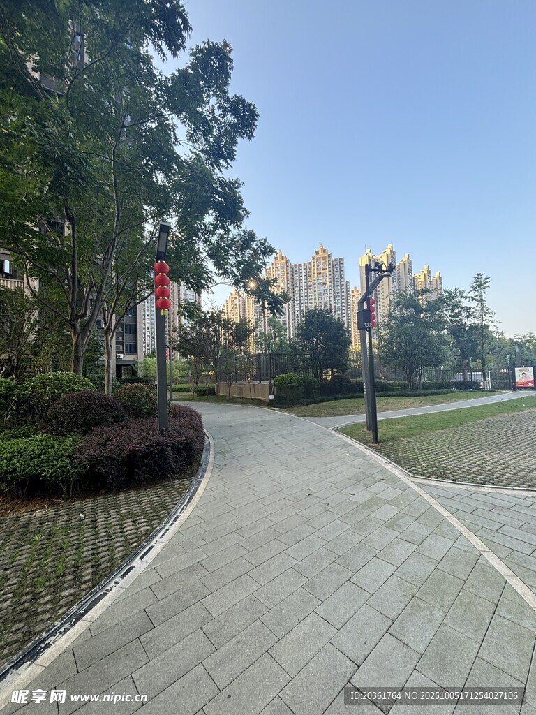 城市中整洁的林荫步道