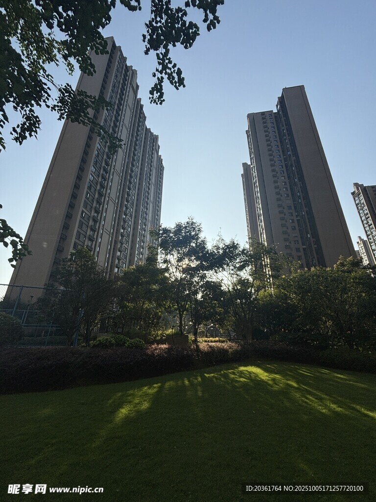 城市中的绿地与高楼景观