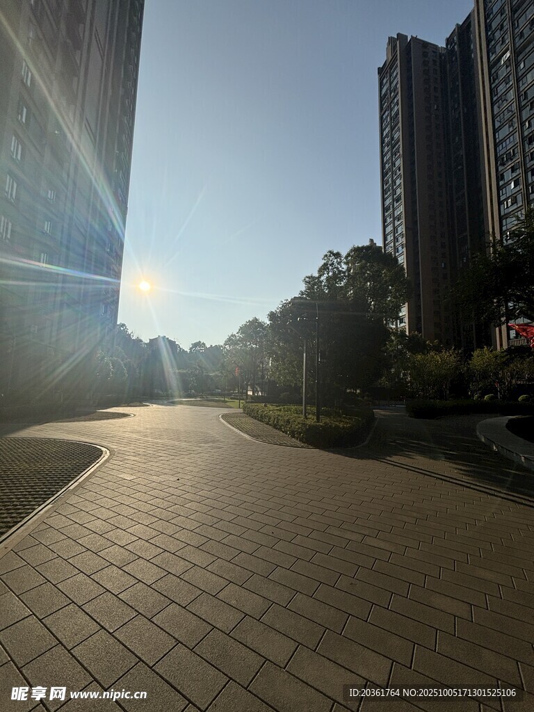 阳光照耀下的城市步道