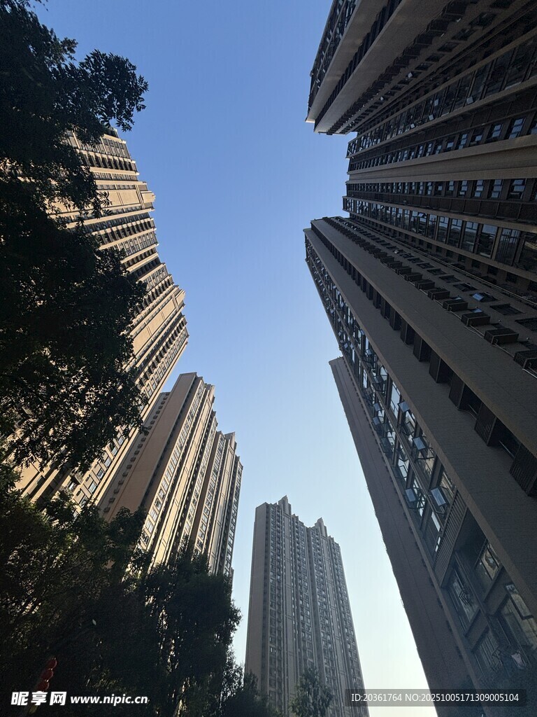 仰视城市高楼与绿树