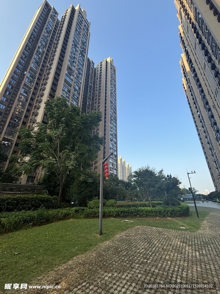 城市高楼旁的绿地景观