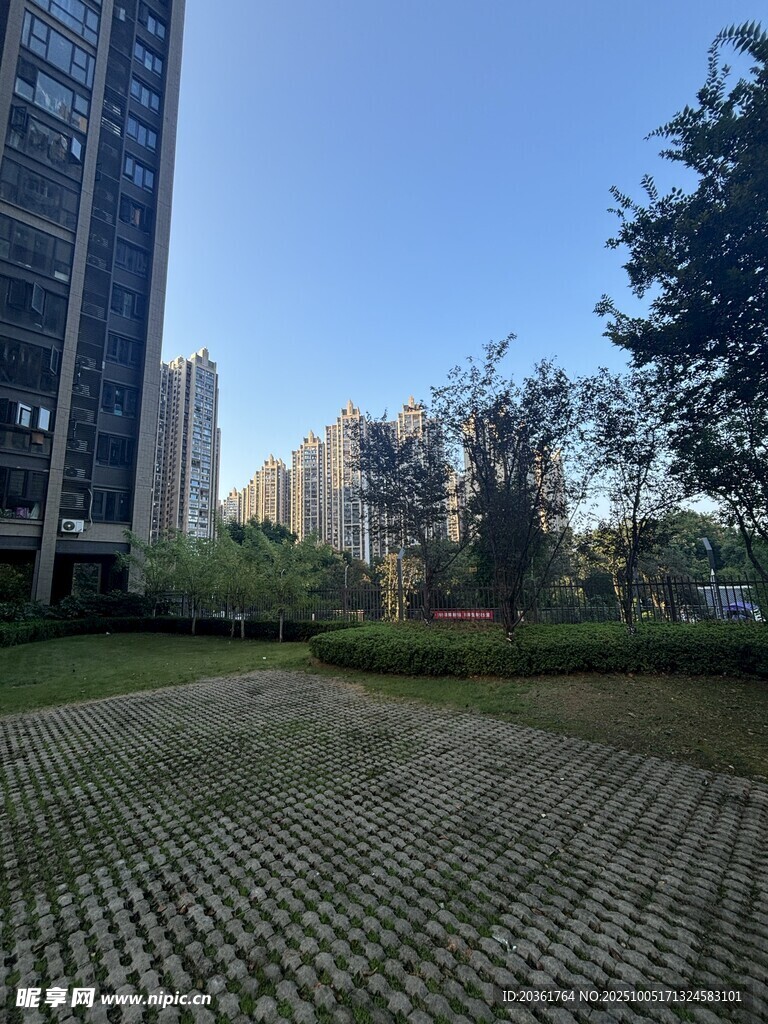 城市中静谧的绿地景观