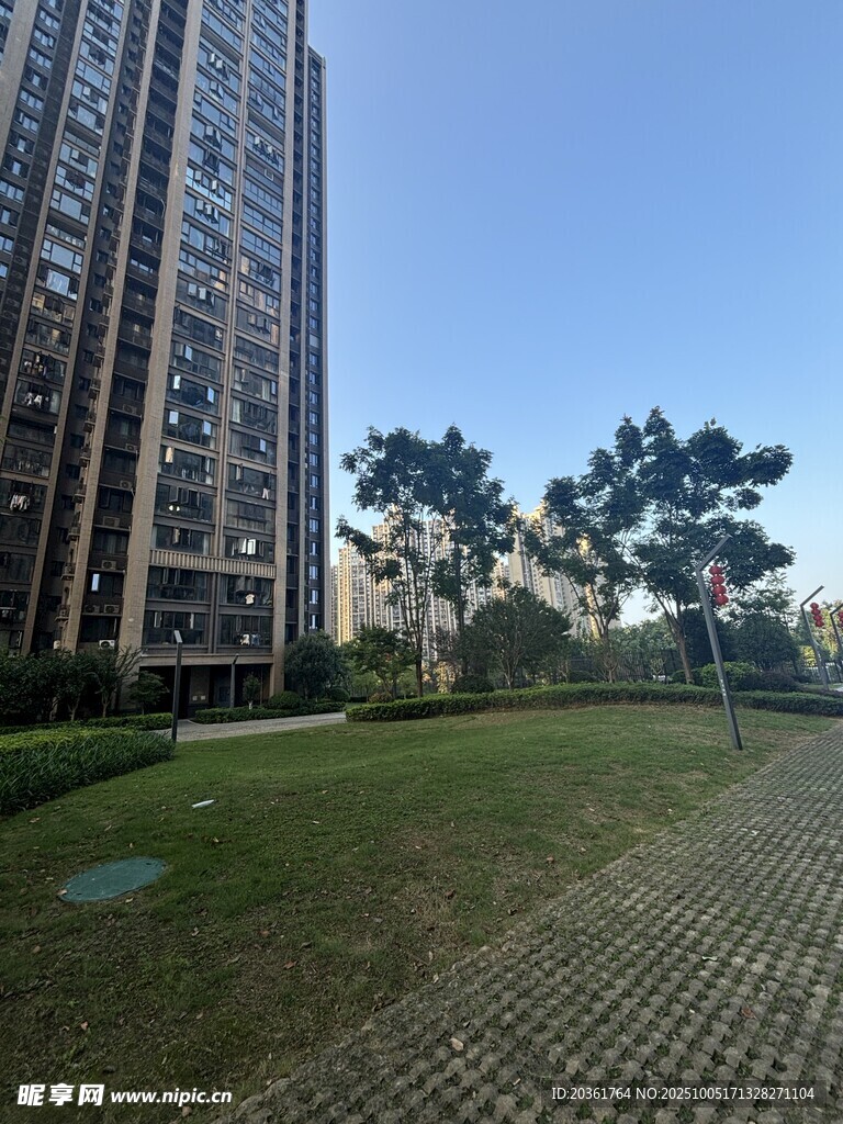 高层住宅旁的绿地景观