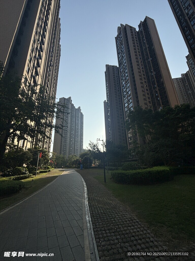 城市中的静谧林荫道路