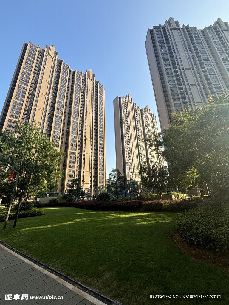 城市高楼旁的绿意景观
