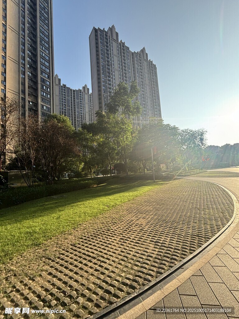 阳光照耀下的城市步道景观