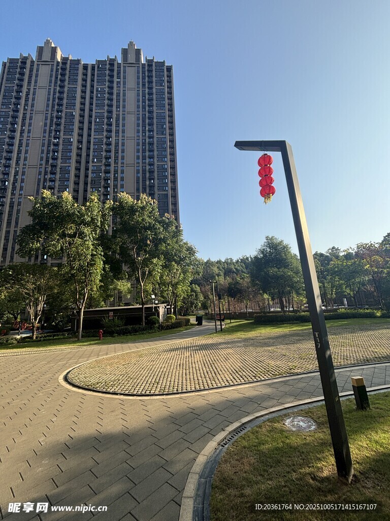 城市公园旁的高楼景观