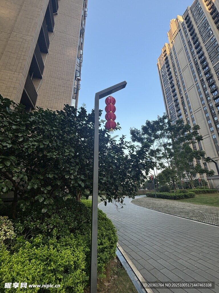 城市街道旁的中式景观灯