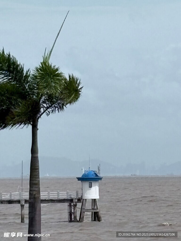 海边椰树旁的孤独瞭望台