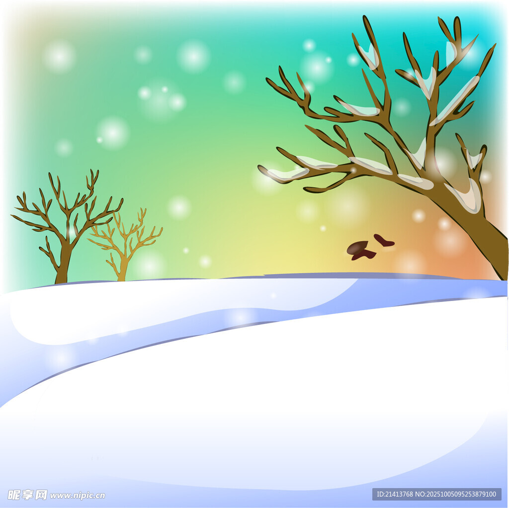 冬日雪景中的静谧树木