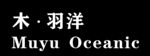 木羽洋