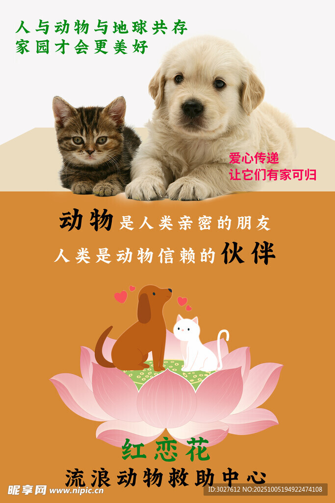 流浪动物救助中心