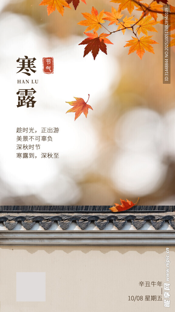 寒露宣传 