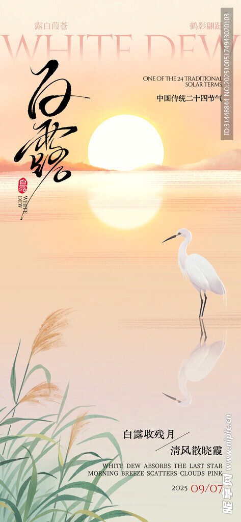 寒露宣传