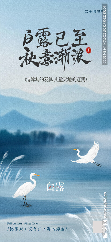 寒露宣传 