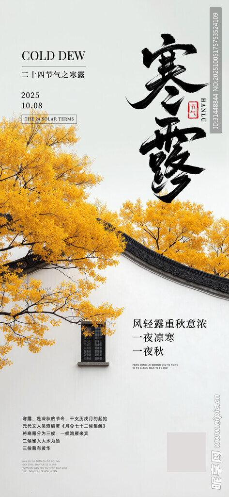 寒露宣传 