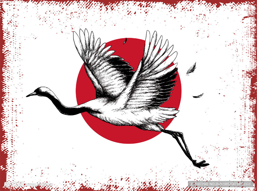 鹤插图