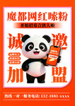 熊猫网红粉丝招募海报