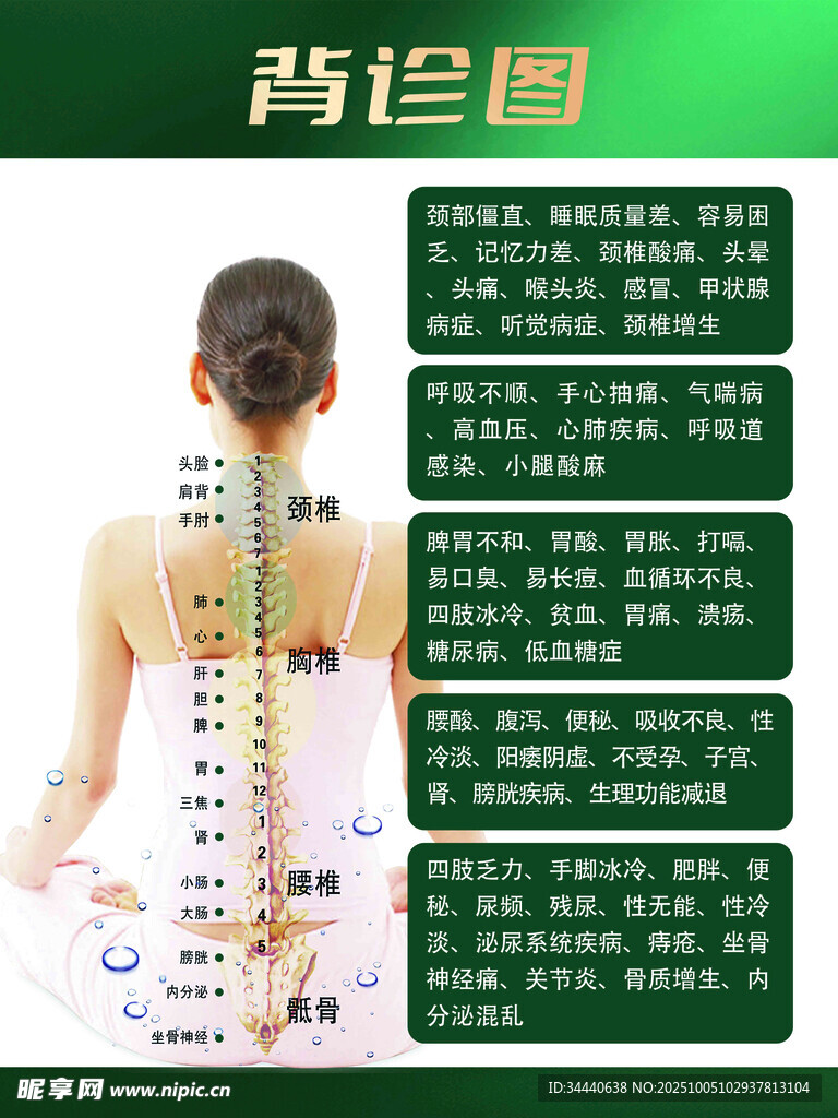 背部脊柱健康示意图