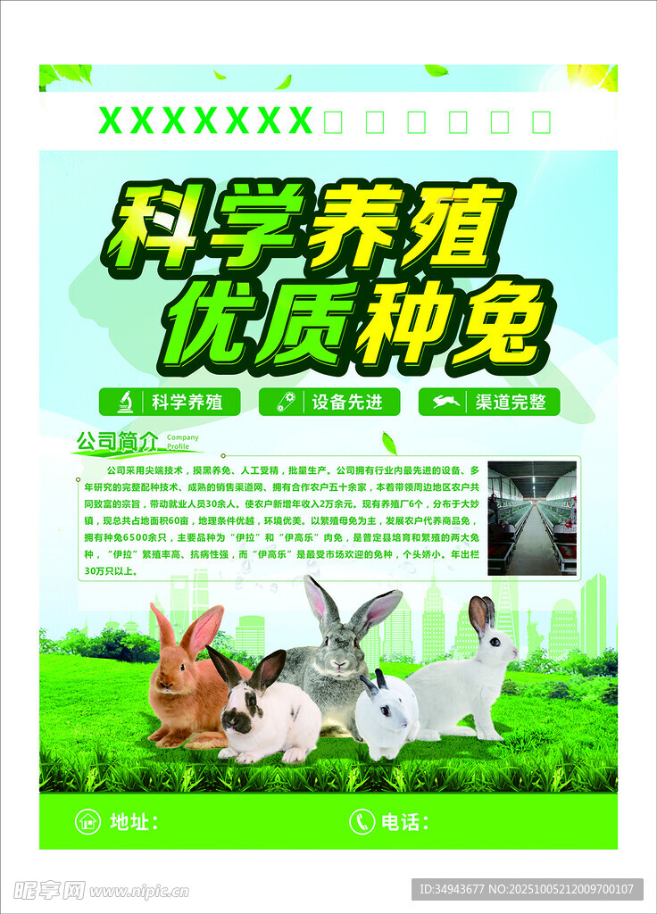 科学养殖优质种兔宣传图