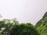 山间葱郁绿植景观