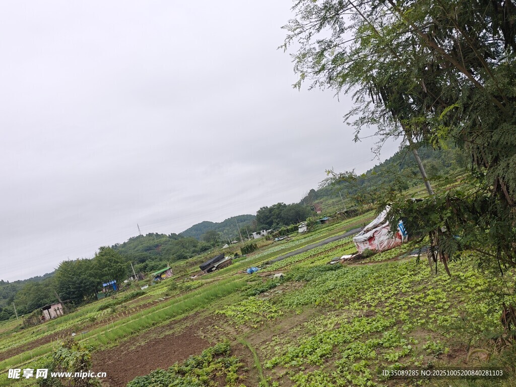山间绿野中的露营帐篷