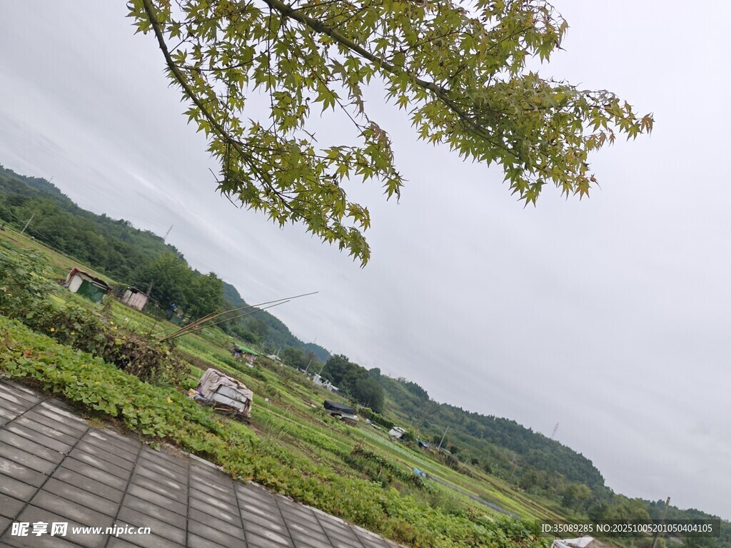 山间石板路与葱郁景致