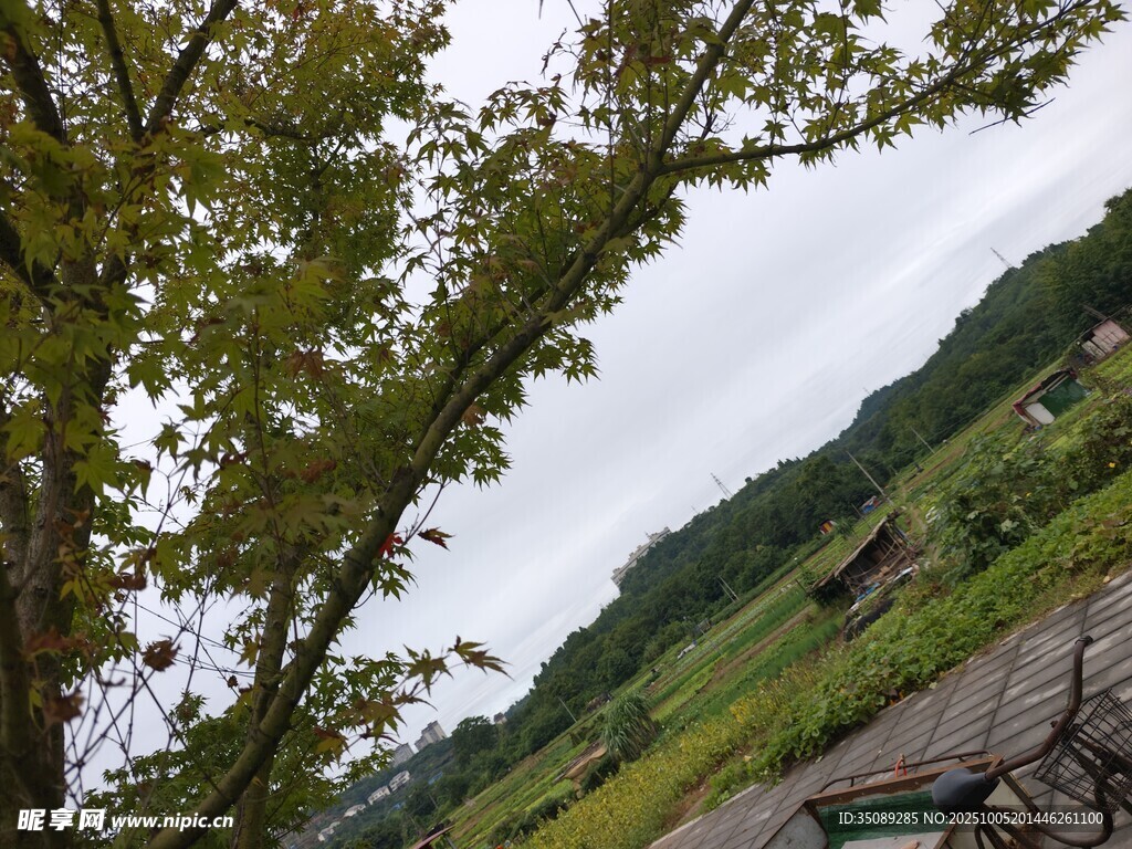 山间绿树与户外休闲场景