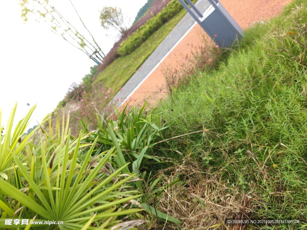 户外绿植与建筑景观