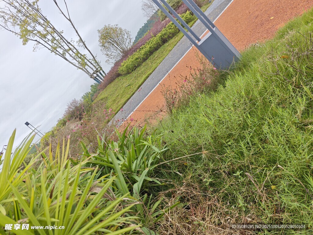户外绿地中的景致