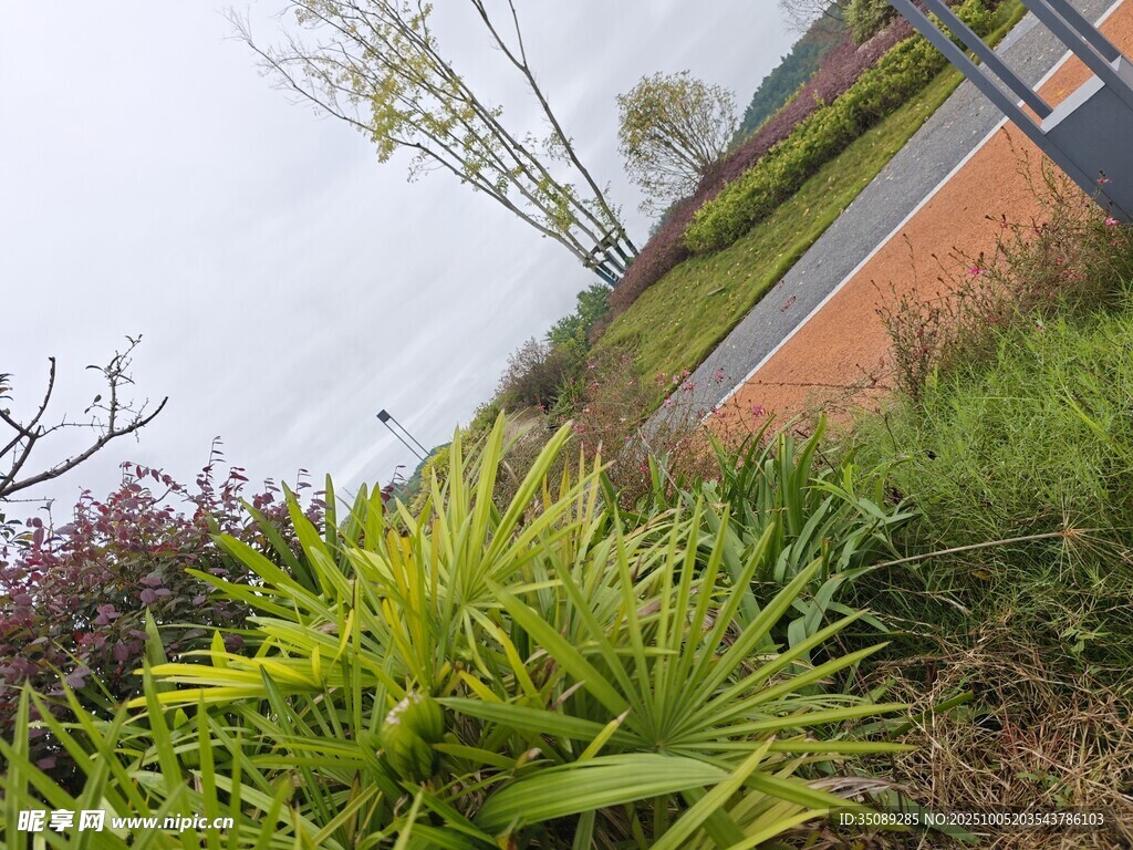 户外绿植景观一角