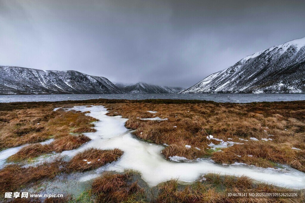 雪山下的湿地风景